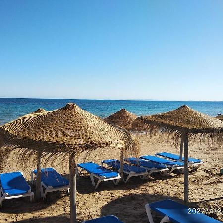 Tango Mango Apartment! Plaza 5 Min, Basen! Torrevieja Luaran gambar